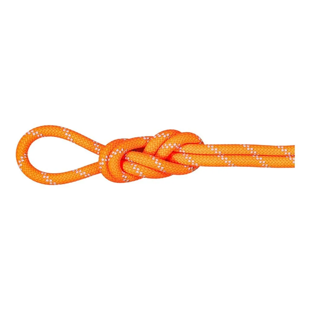 9.5 ALPINE DRY CLIMBING ROPE