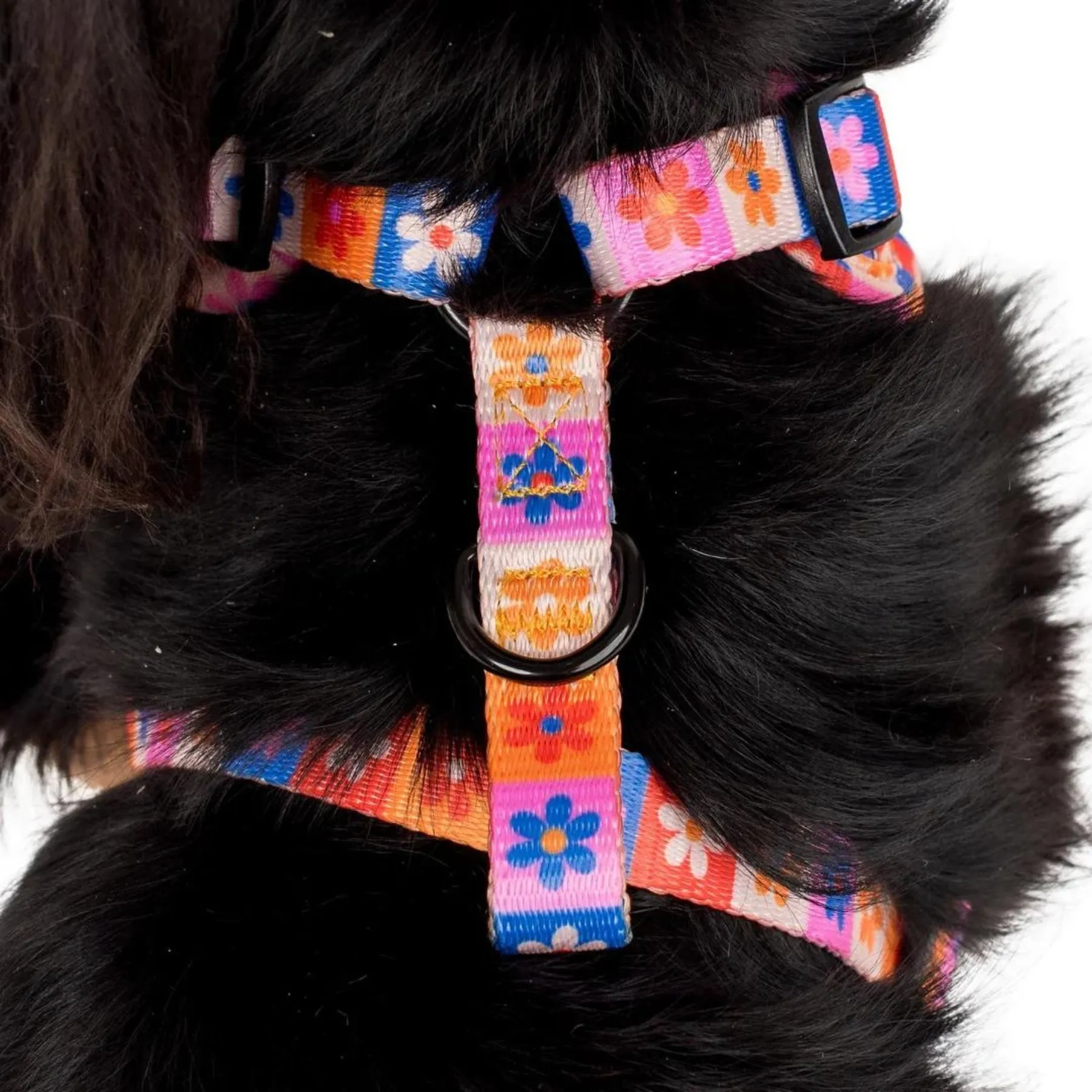 Daisies For Days Adjustable Dog Harness