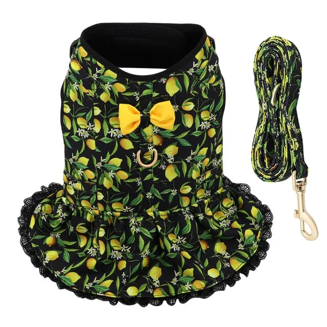 Fruit Harness Dress   Leash - Black Lemons