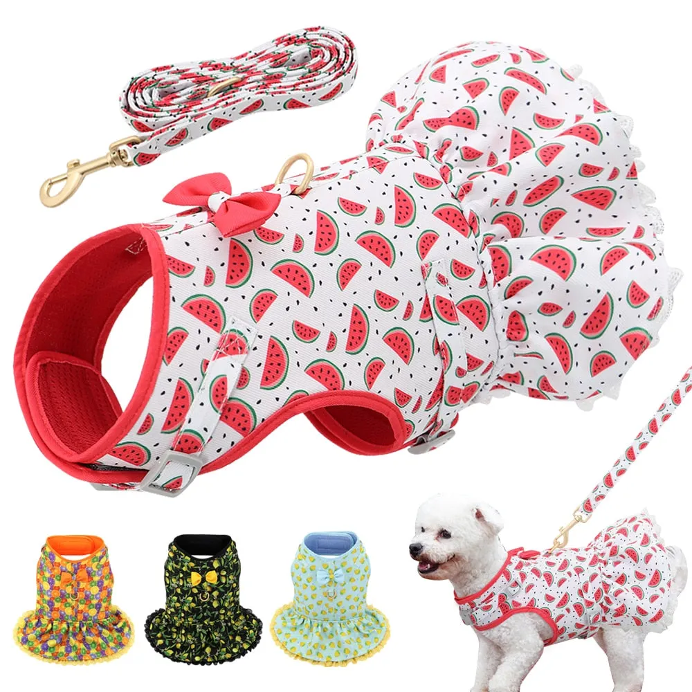 Fruit Harness Dress   Leash - Watermelons