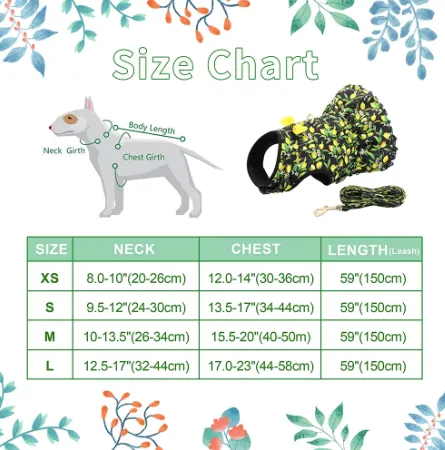 Fruit Harness Dress   Leash - Watermelons