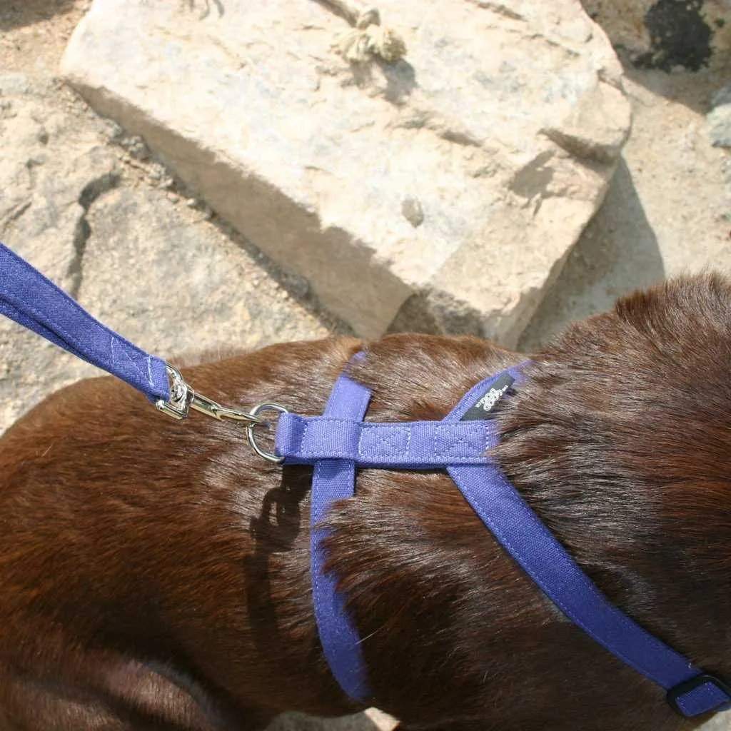 Hemp Dog Harness Basic BLUE