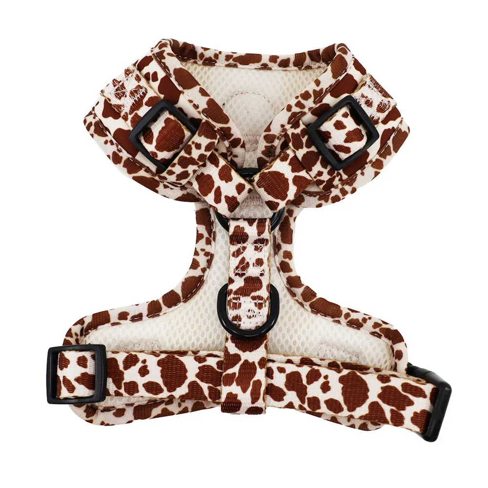 Pablo & Co Rodeo Adjustable Harness