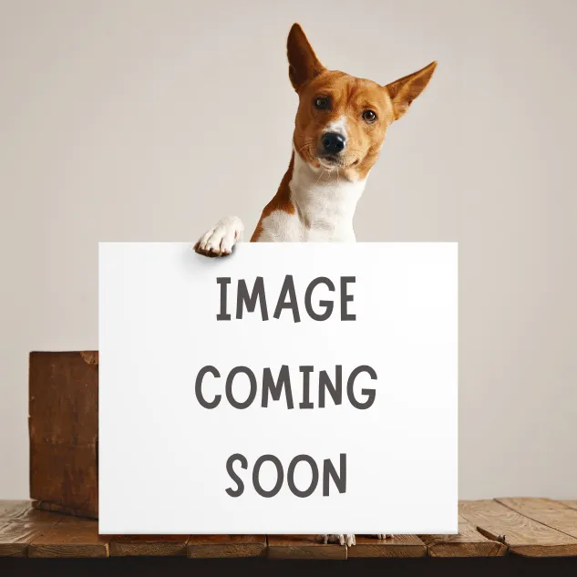 Teacup Harness | Howdy Blue